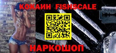 молекула духа Кингисепп