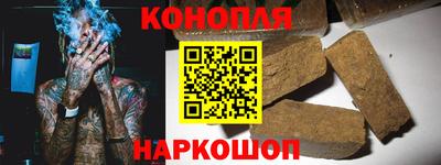 молекула духа Кингисепп