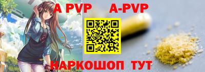 молекула духа Кингисепп