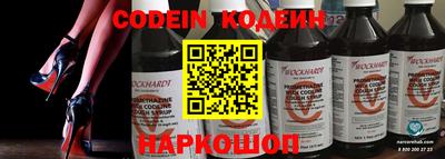молекула духа Кингисепп
