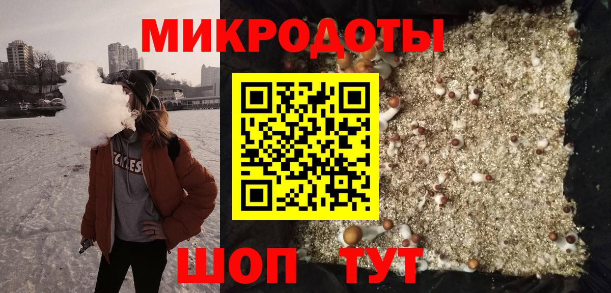 Псилоцибиновые грибы Psilocybine cubensis Королёв