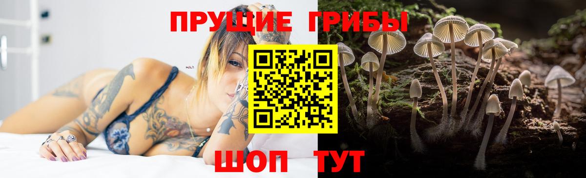 Королёв  Псилоцибиновые грибы мухоморы  Вход с VPN  Галлюциногенные грибы ЛСД 